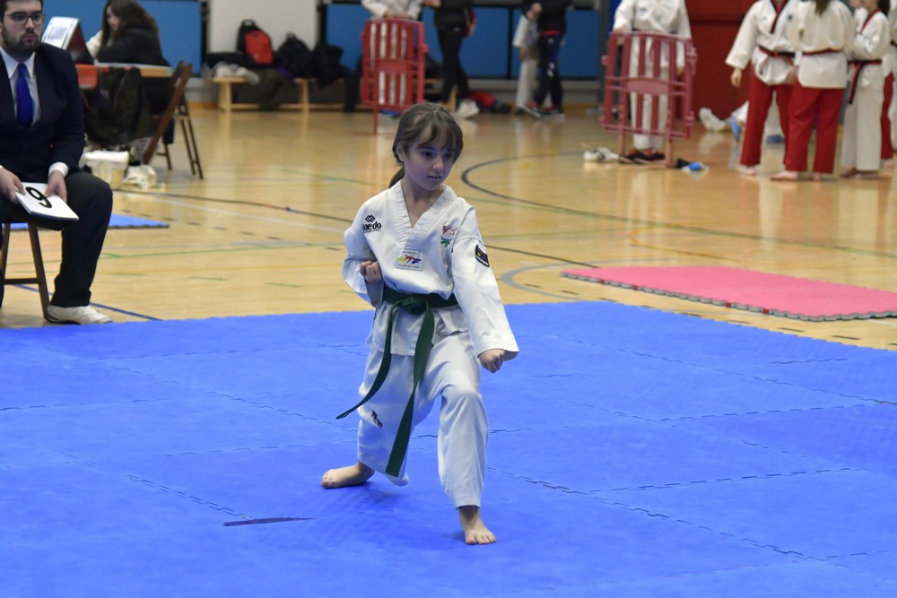 GALERIA FOTOS 2 FASE JJDD ALSASUA